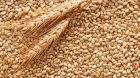 Зерно,пшеница,кукуруза,соя Украина.