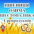 Насіння озимої пшениці ШЕСТОПАЛІВКА 1 репр ФГ БОР 2025