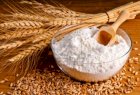 Переработка пшеницы на давальческих условиях
