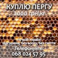 Перга закупівля