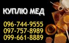 Закупаємо якісний мед оптом від 300 кг 