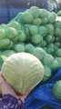 Продаж капусти