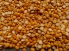 Commercial offer Polished pea groats yellow split peas