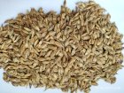 Продам спельту (разновидность древней пшеницы, сорт Zollerns
