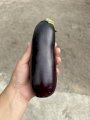 Продам Баклажан 