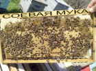 Соевая мука от производителя для весеннего подкормки пчел