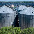 Зерновой комплекс ООО «КОШ 2» предоставляет услуги элеватора