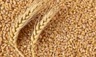 Куплю пшеницу по Николаевской области 