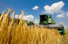 Пшеница, подсолнечник, кукуруза - фермерские хозяйства 2021