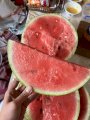 Продам кавун сорт продюсер