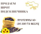 Шрот подсолнечника