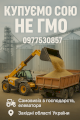 Куплю  сою НЕ ГМО