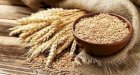 Закупаем пшеницу, Запорізька обл. наличный расчет, самовывоз