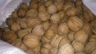 Экспортный калиброванный орех грецкий