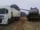 Перевозка зерновозами