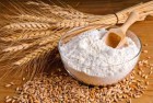 WIDELAND EXPORT продает муку пшеничную на экспорт