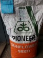 Семена подсолнечника Пионер (Pioneer) пр64ле25