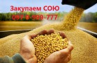 Куплю Сою