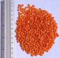 Чечевица красная шлифованная