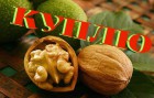купим грецкий орех кругляк и чищенный,орех лесной лещину