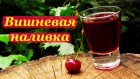 Наливки из домашнего сада!!!